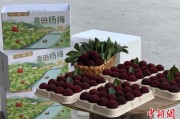 梦见卖药高速赋能产业升级：一条“杨梅路”的致富密码