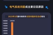 梦见卖药黑猫投诉发布5月国内汽车召回数据：德系占召回总量近九成 电气系统问题成召回主因