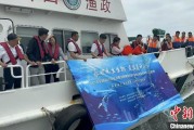 梦见卖药浙江今年计划放流种类海洋水生生物苗种超15亿单位