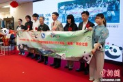 梦见卖药中国彩绘熊猫艺术国际巡展东京站开幕