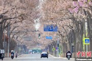 梦见卖药共建“花园城市” 北京这场议政会“百花齐放”