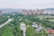 梦见卖药西宁市举办六五环境日主题宣传活动